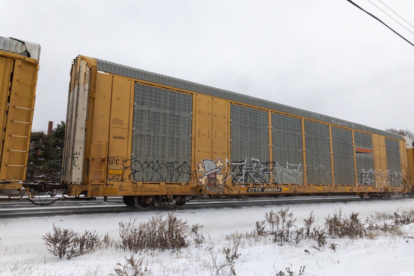 CTTX 690354