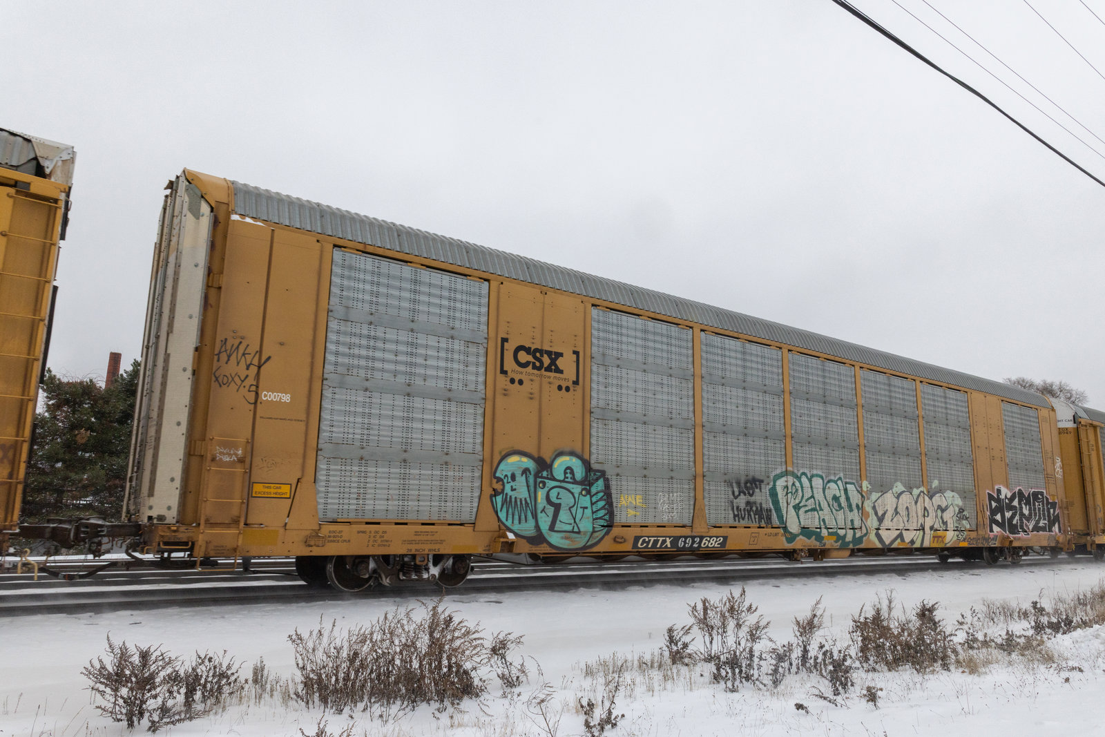 CTTX 692682