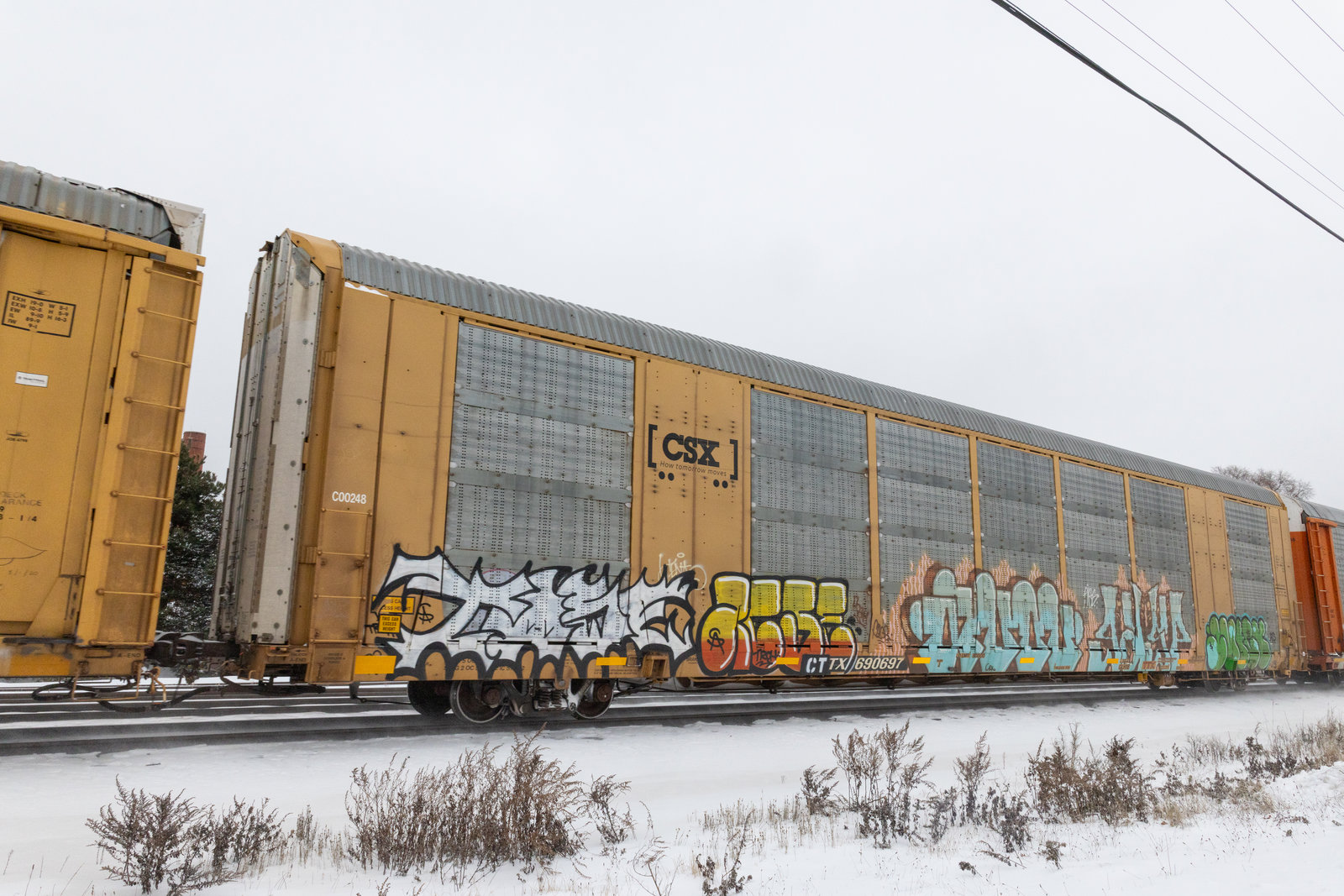 CTTX 690697