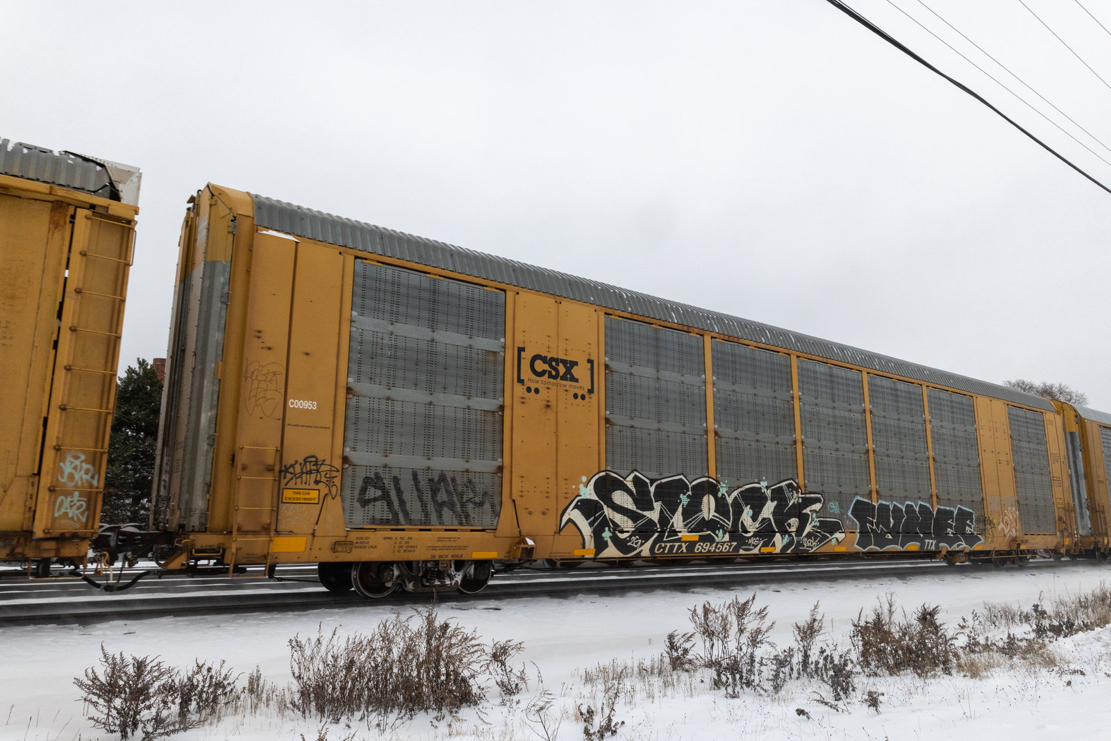 CTTX 694567