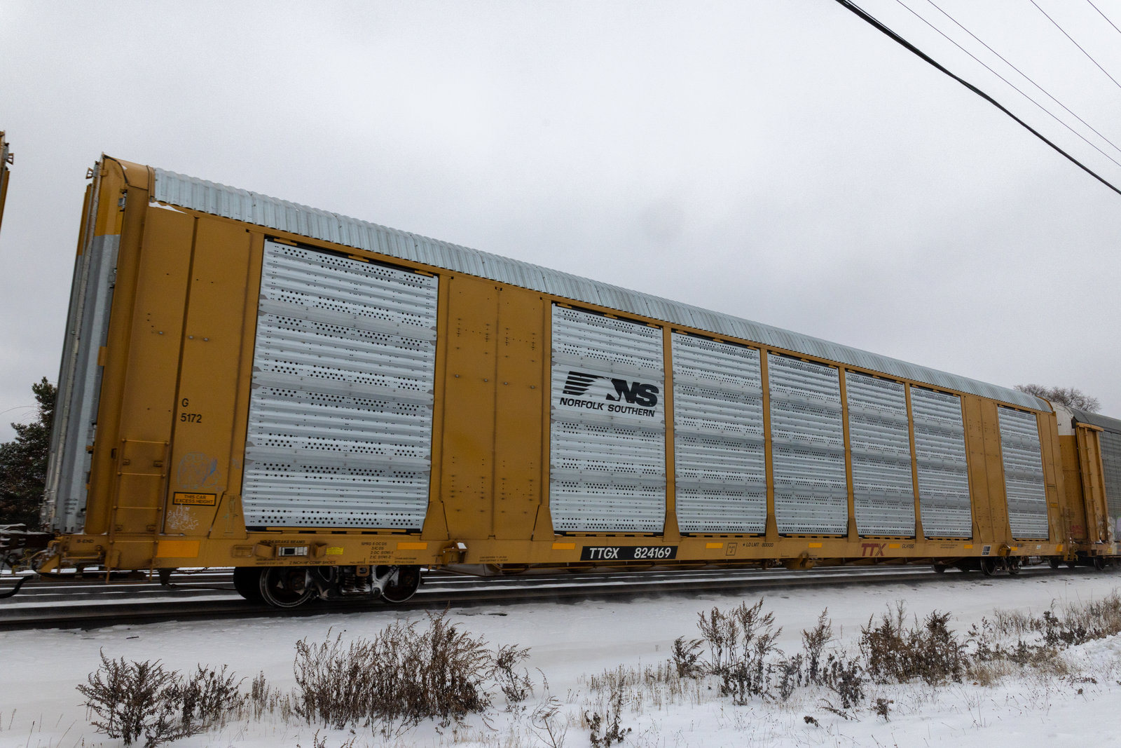 TTGX 824169