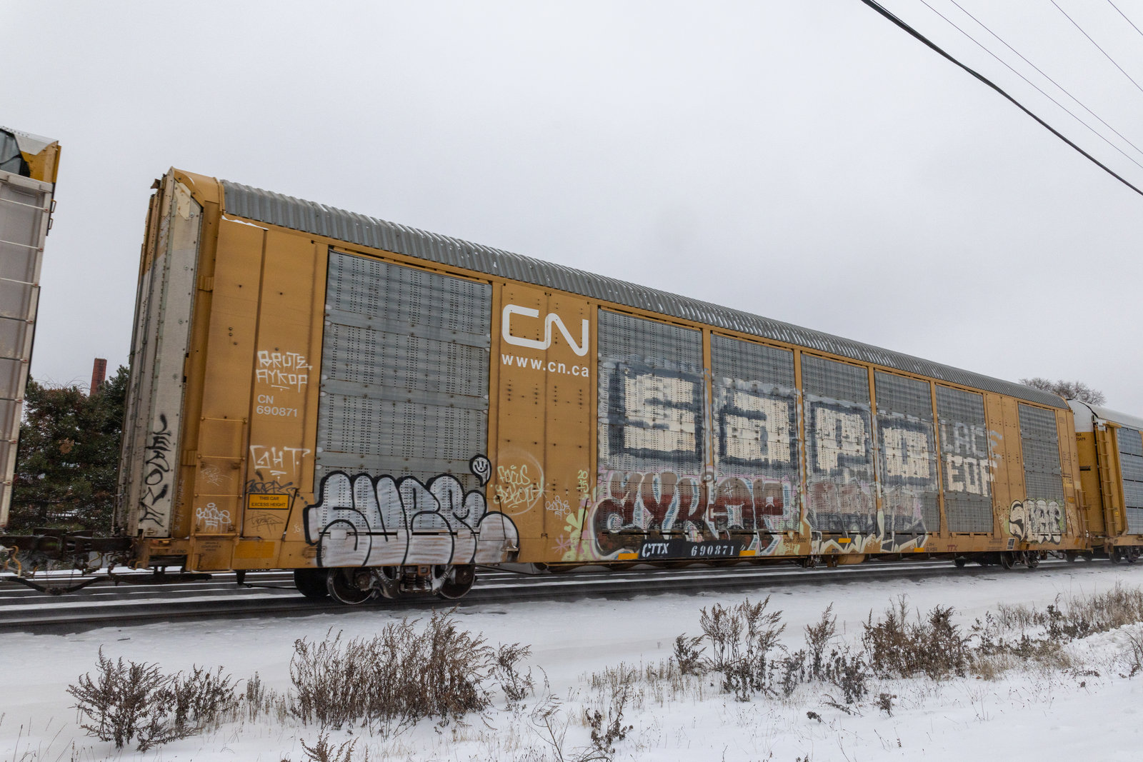CTTX 690871