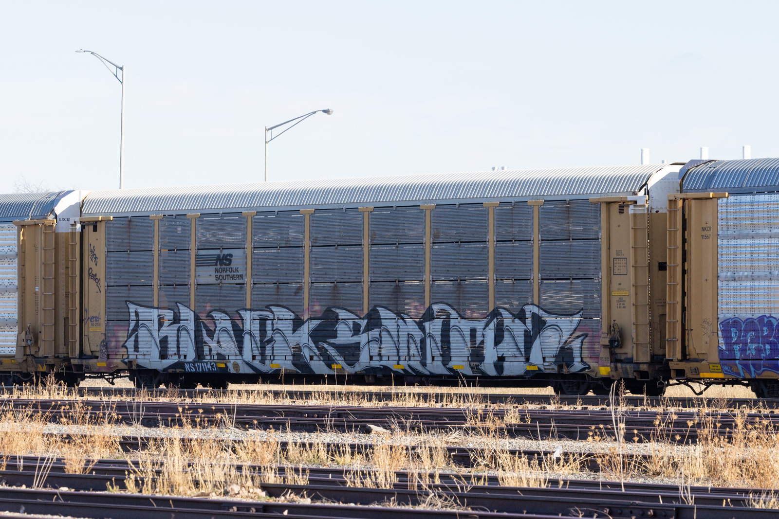 NS 171143