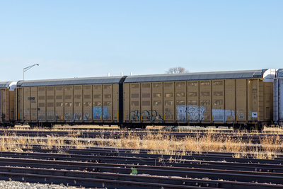 NS 110598