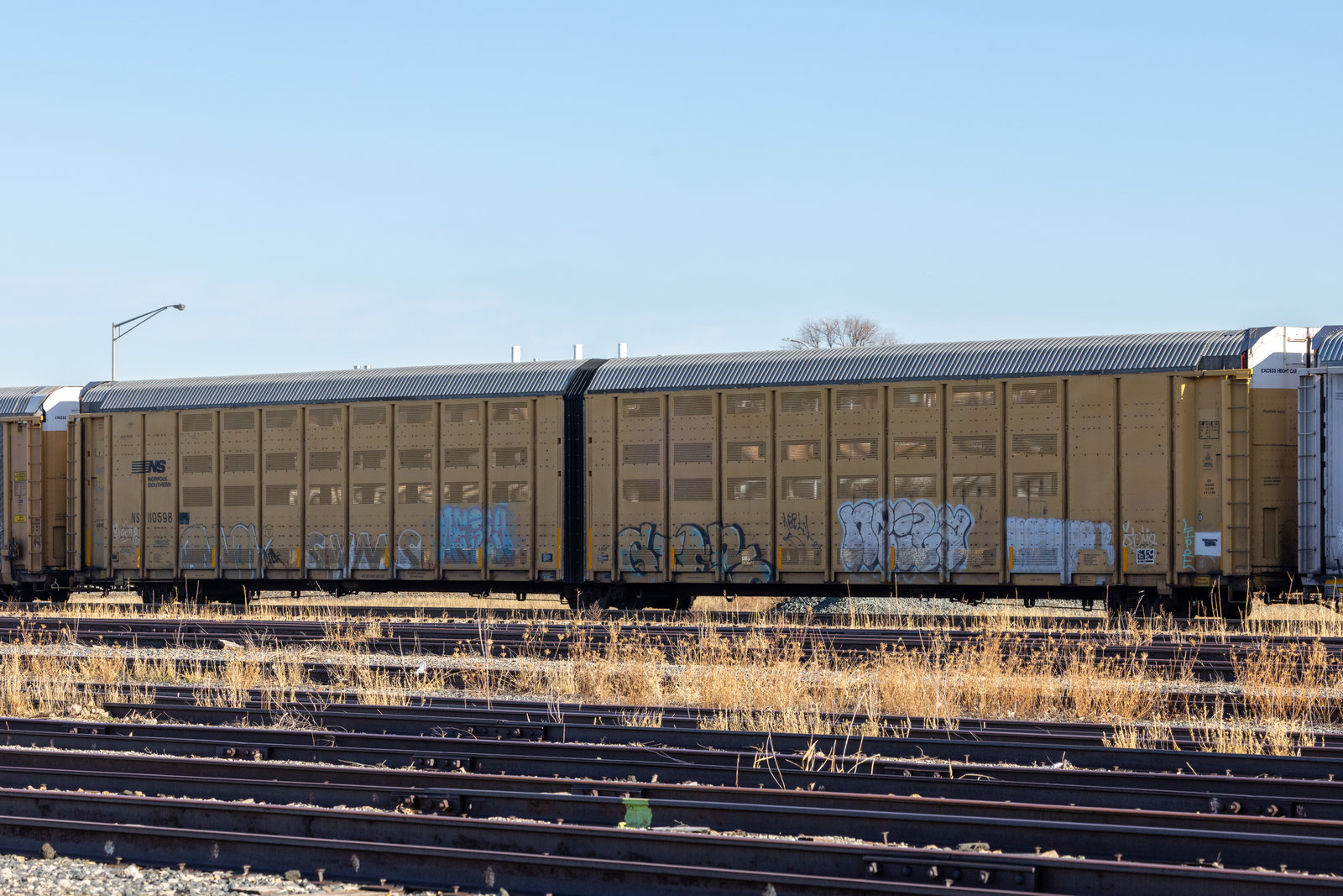 NS 110598