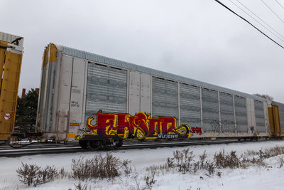 SFLC 307410