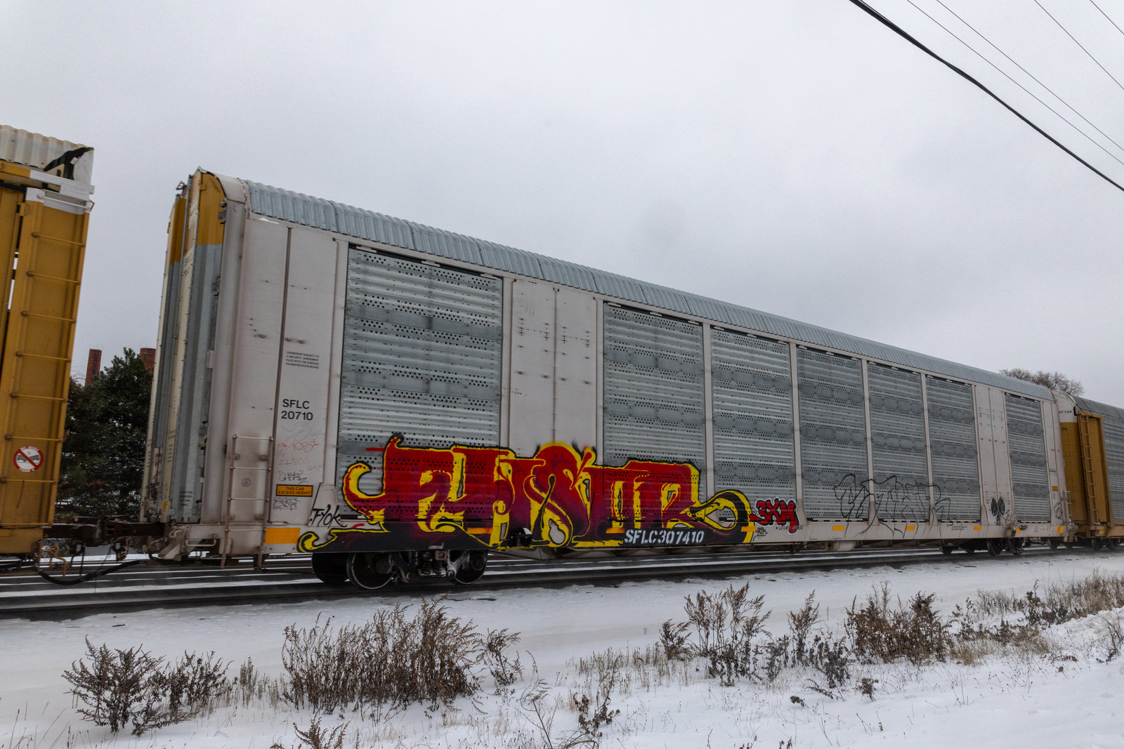 SFLC 307410