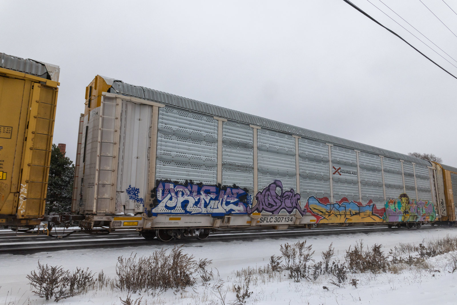 SFLC 307134