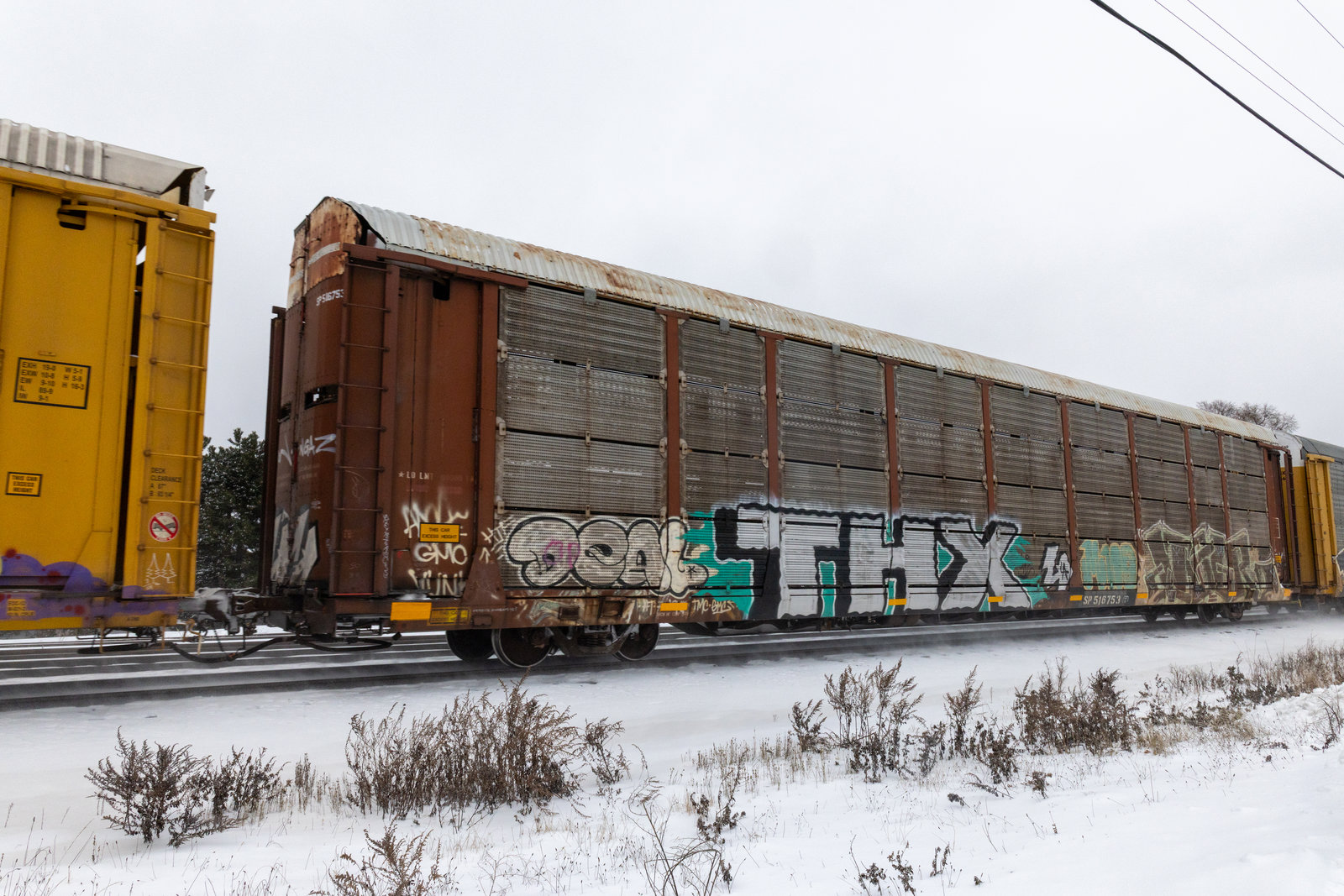 SP 516753