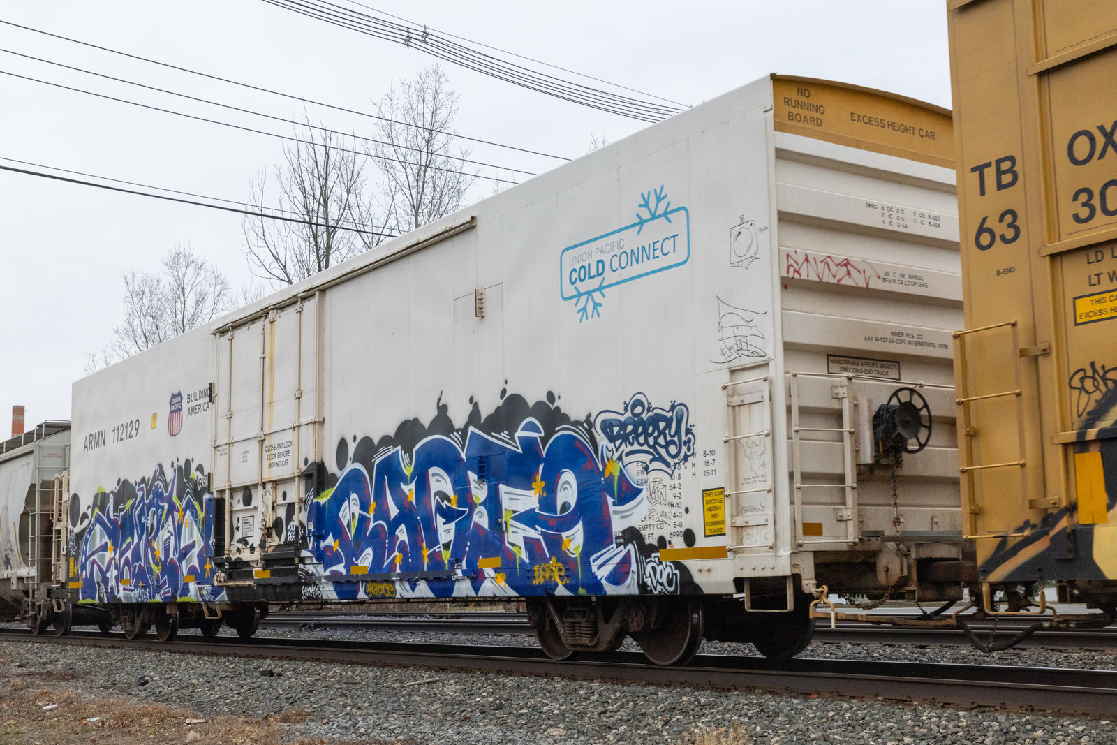 ARMN 112129