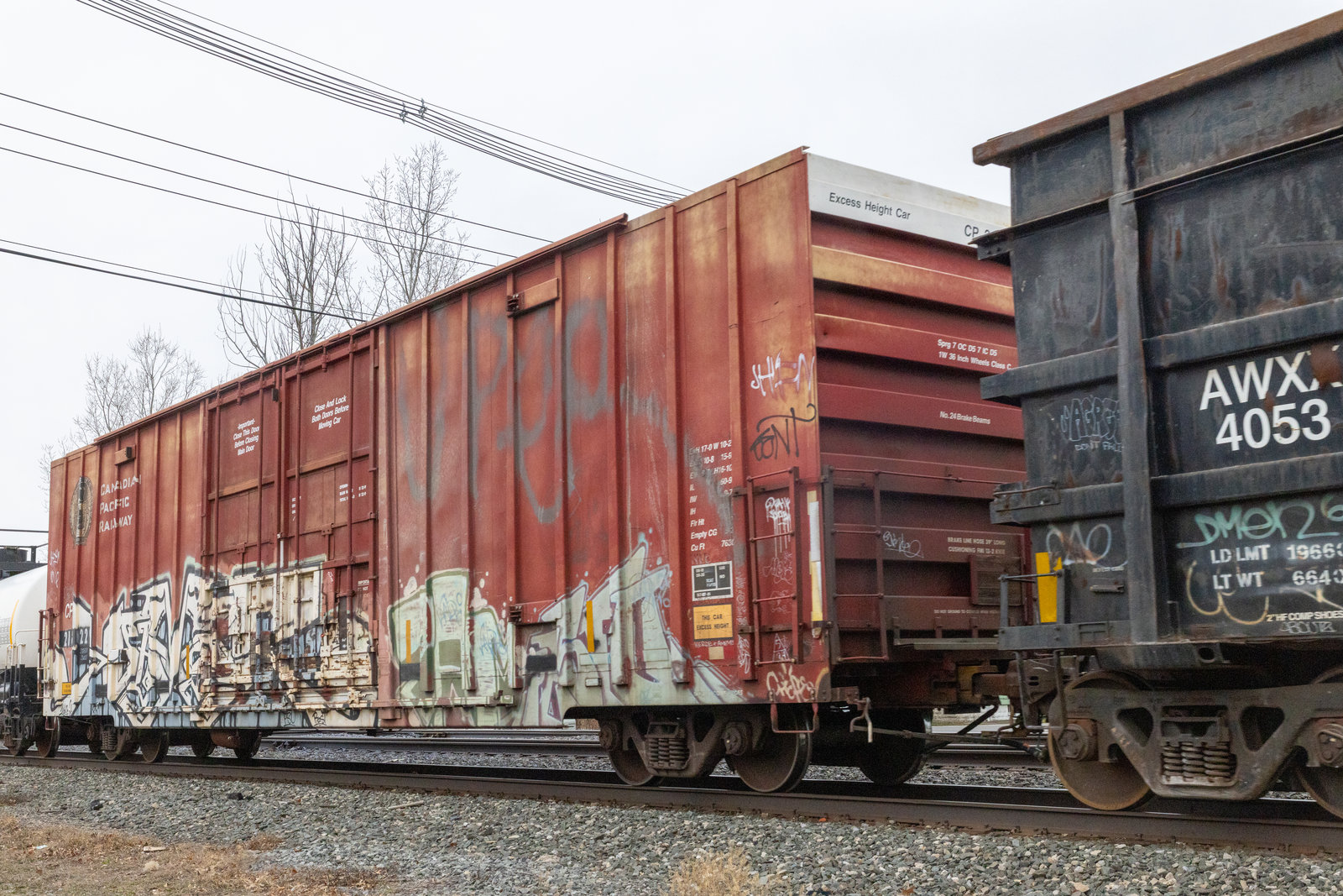 CP 218229
