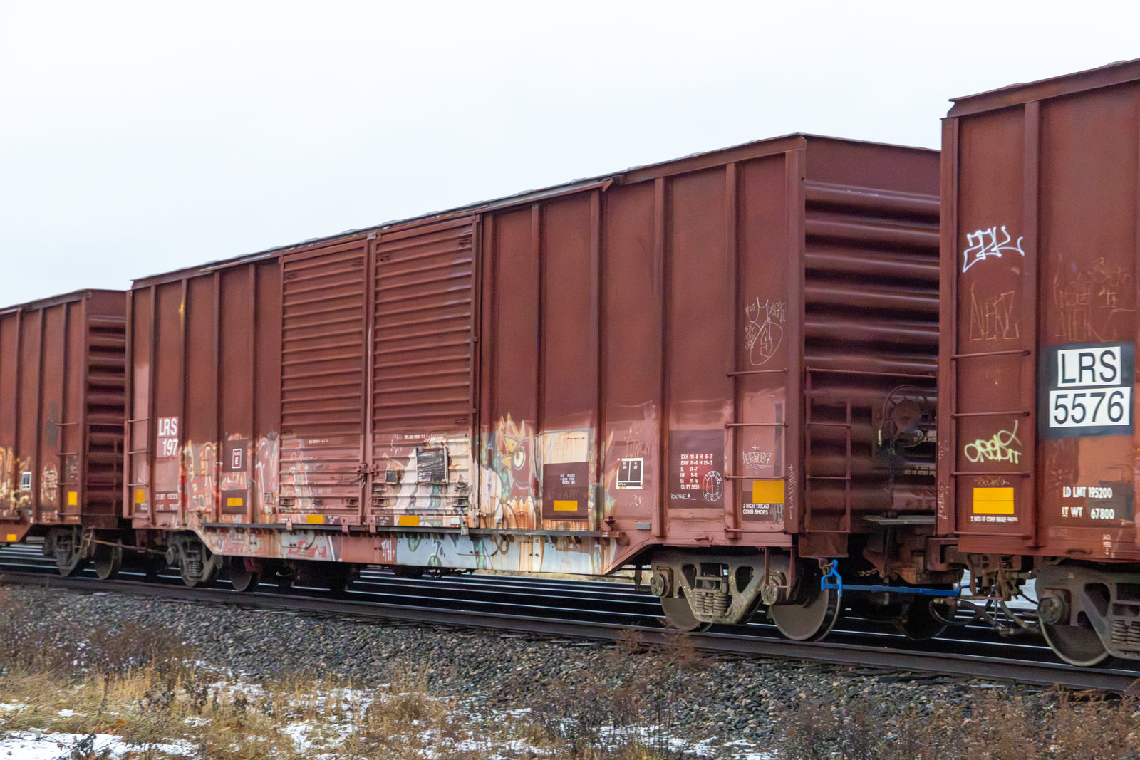 LRS 197