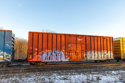 TR 150203
