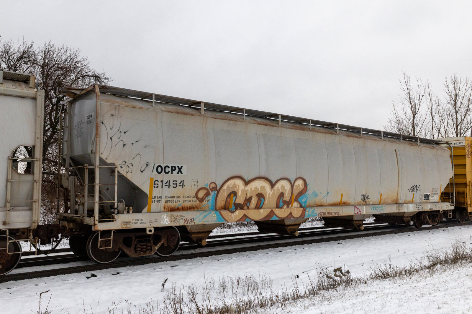 OCPX 61494