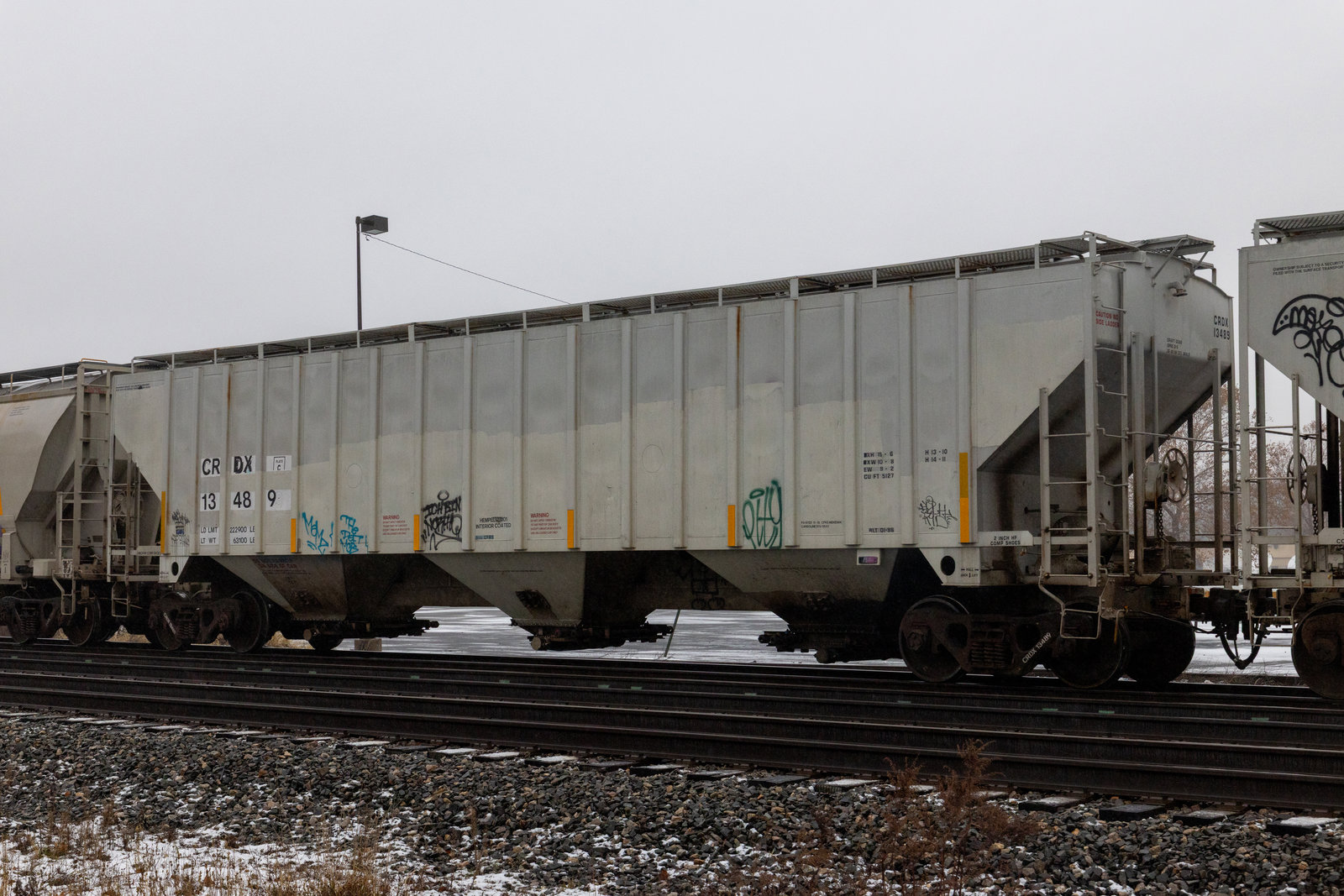 CRDX 13489