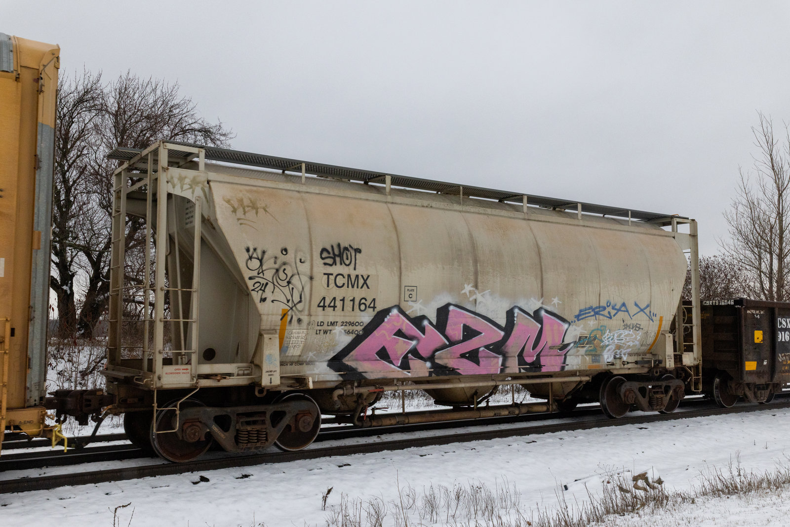 TCMX 441164