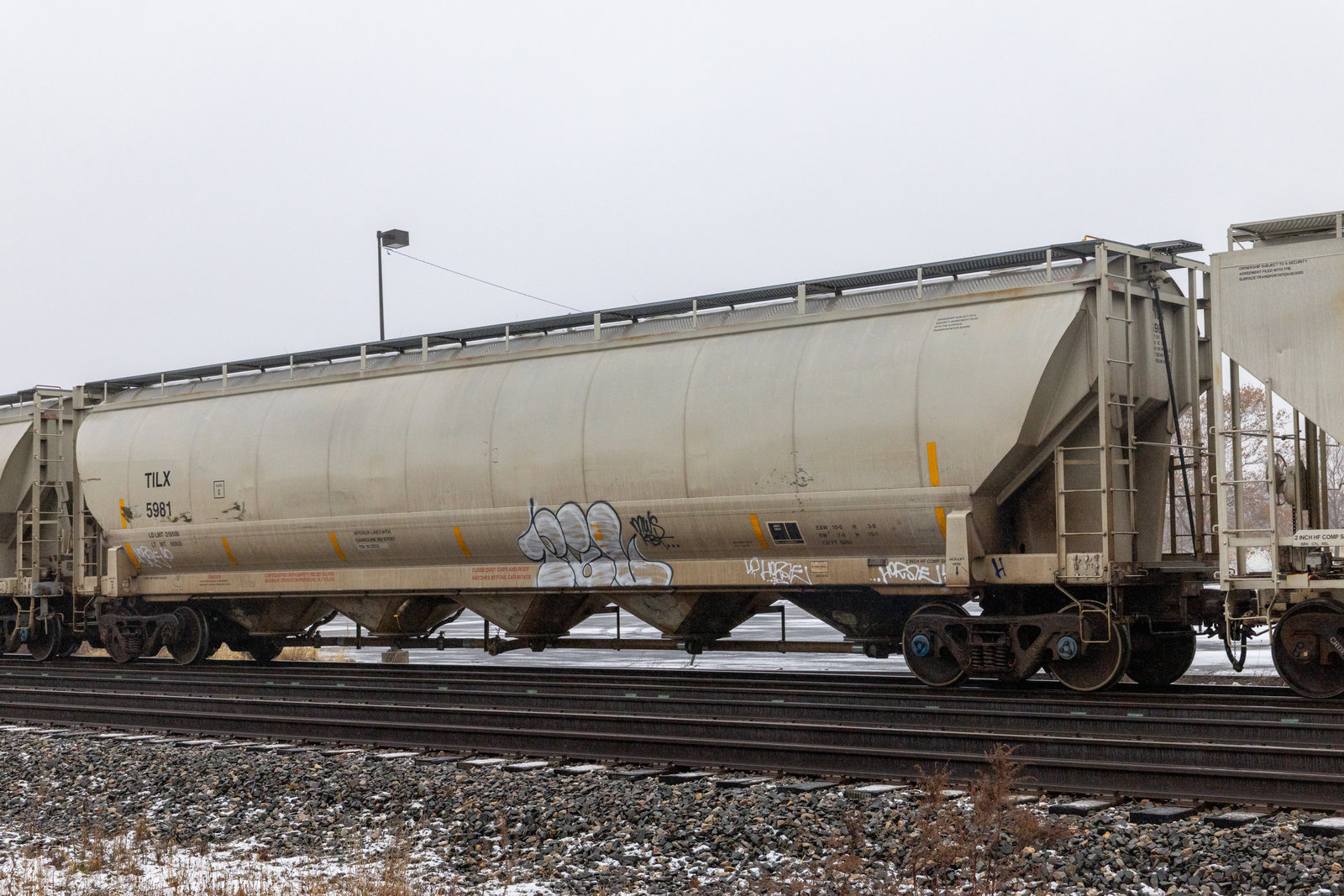 TILX 5981