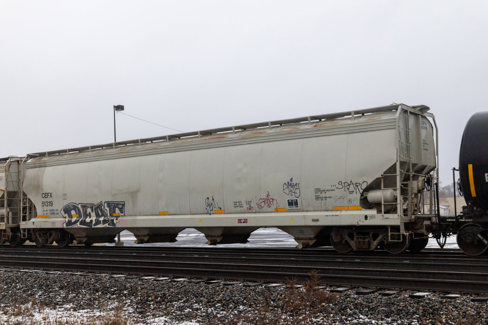 CEFX 51319