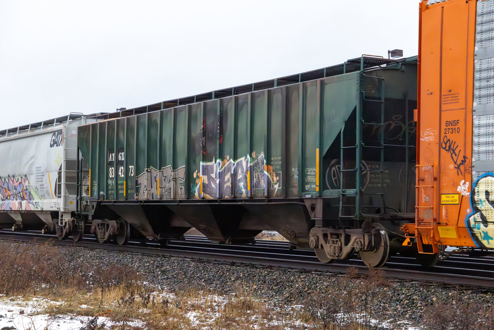 ATGX 834273