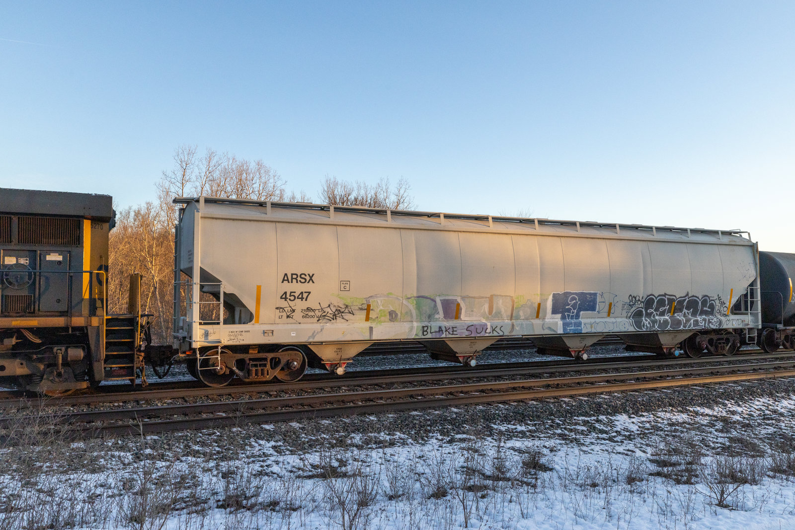 ARSX 4547