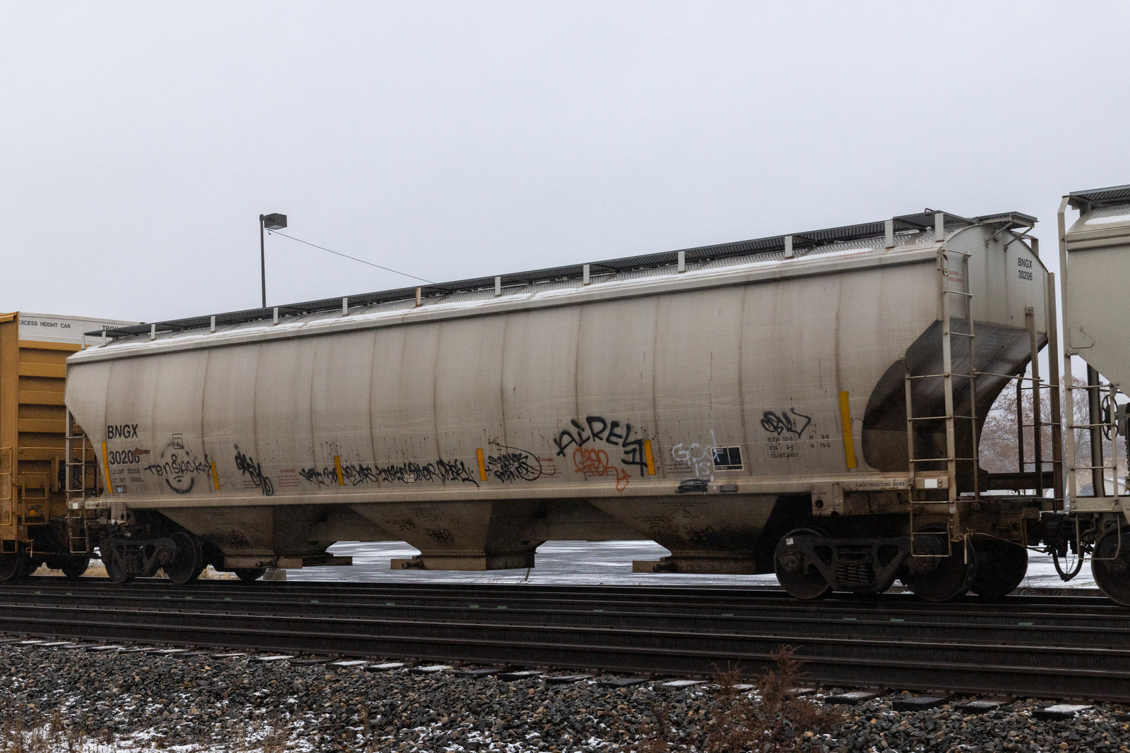 BNGX 30206