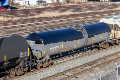 CRGX 8339