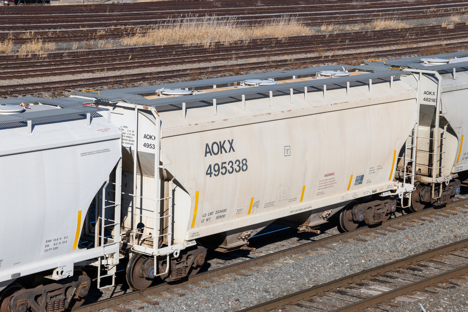 AOKX 495338