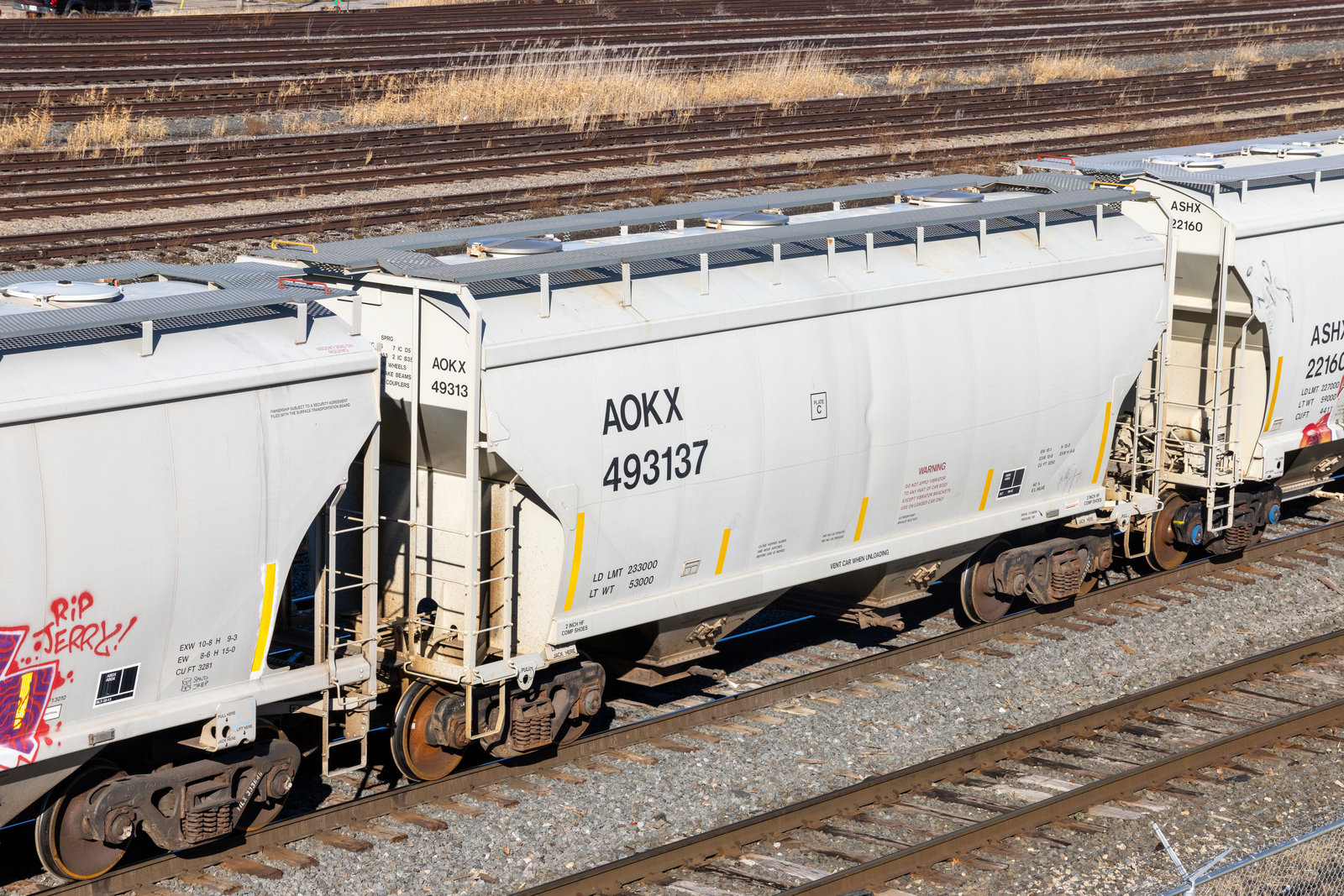 AOKX 493137