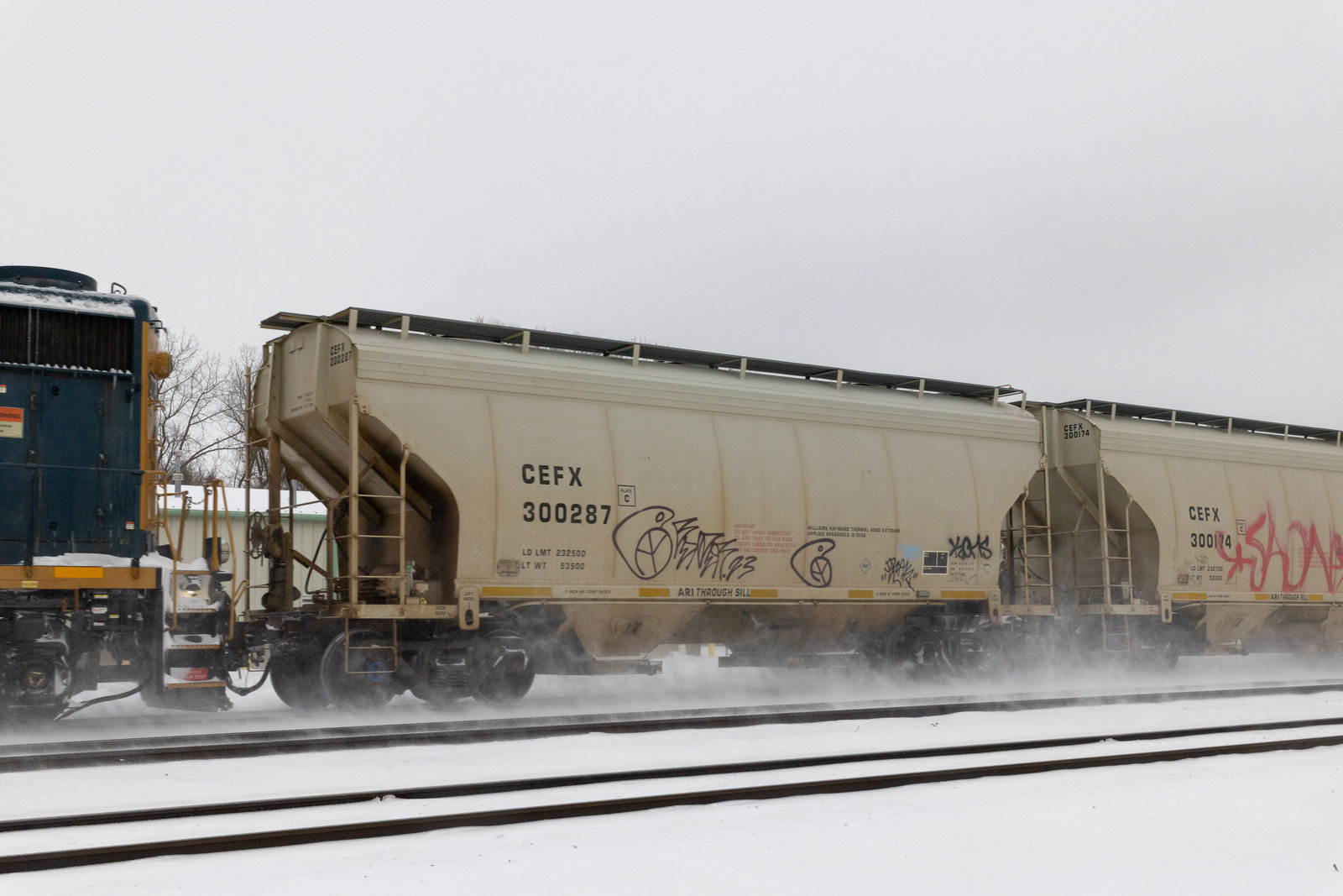 CEFX 300287