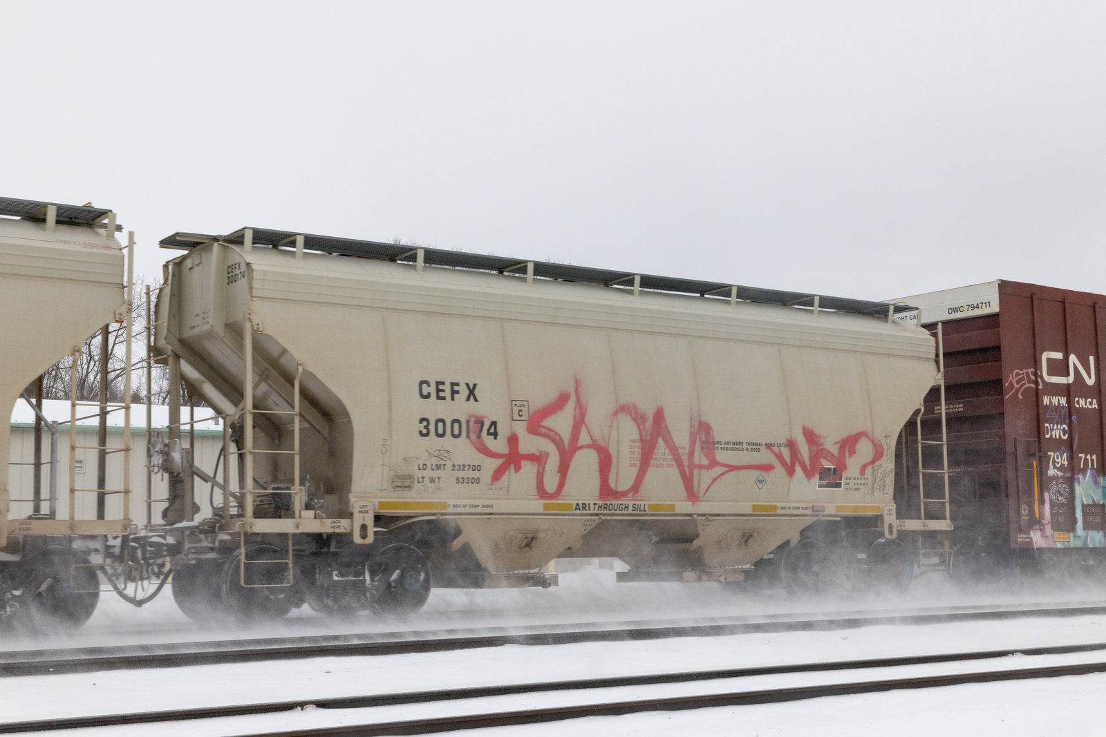 CEFX 300174