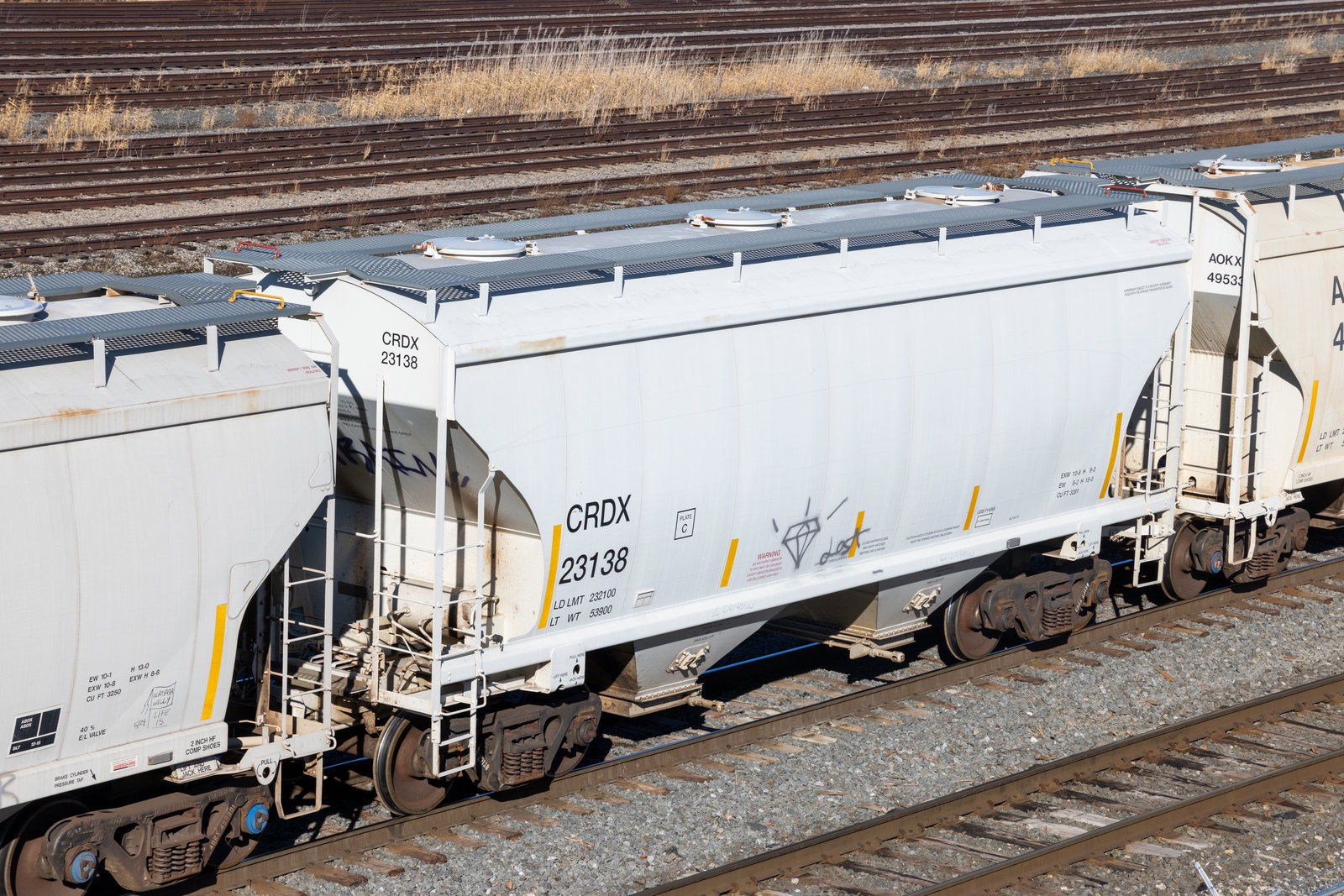 CRDX 23138
