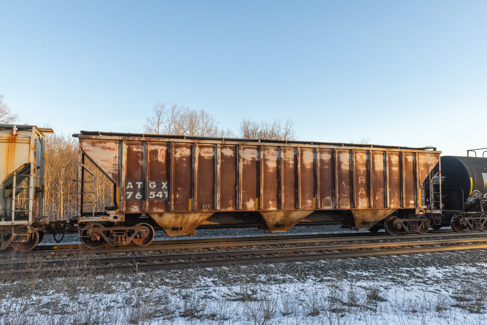 ATGX 76541
