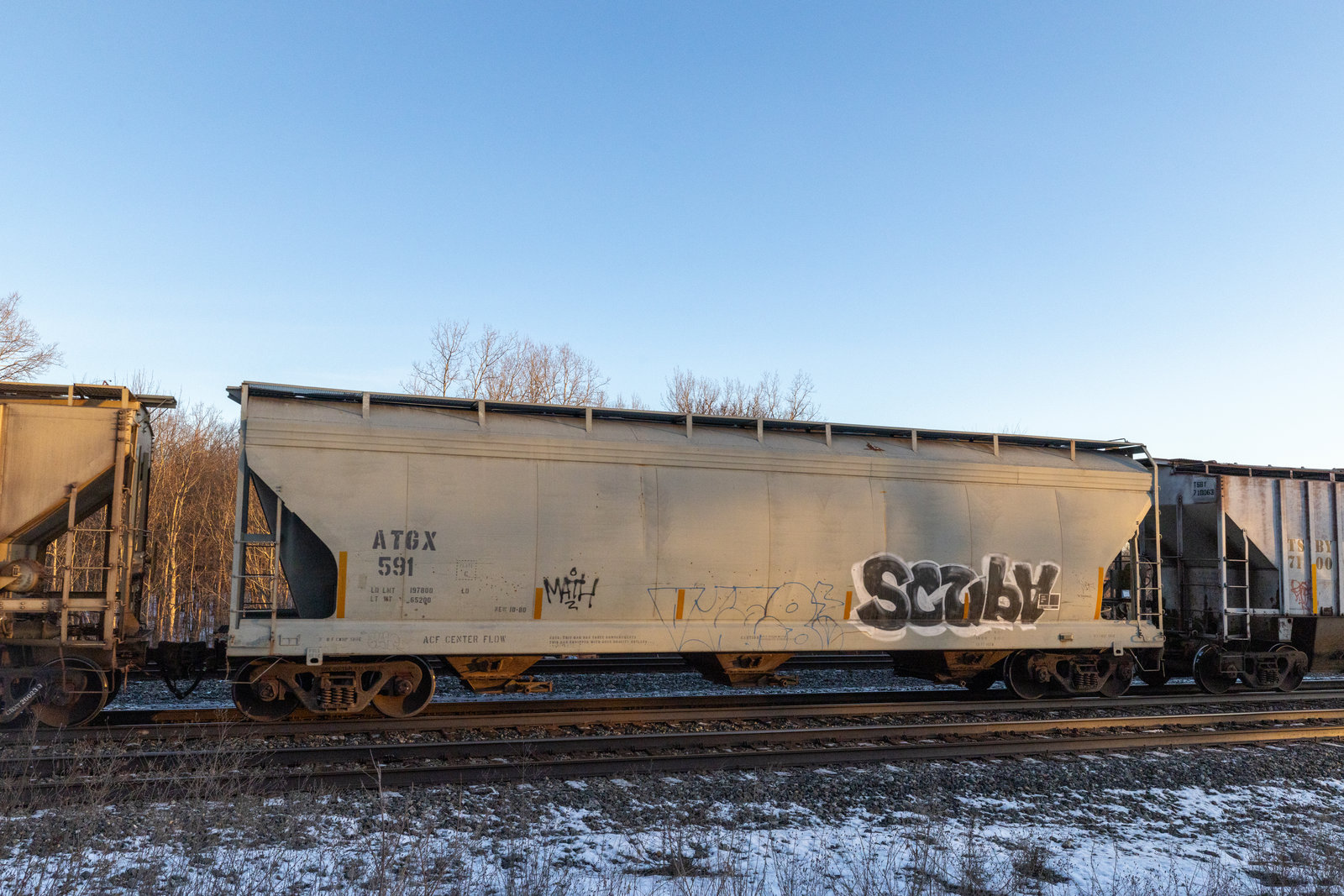 ATGX 591