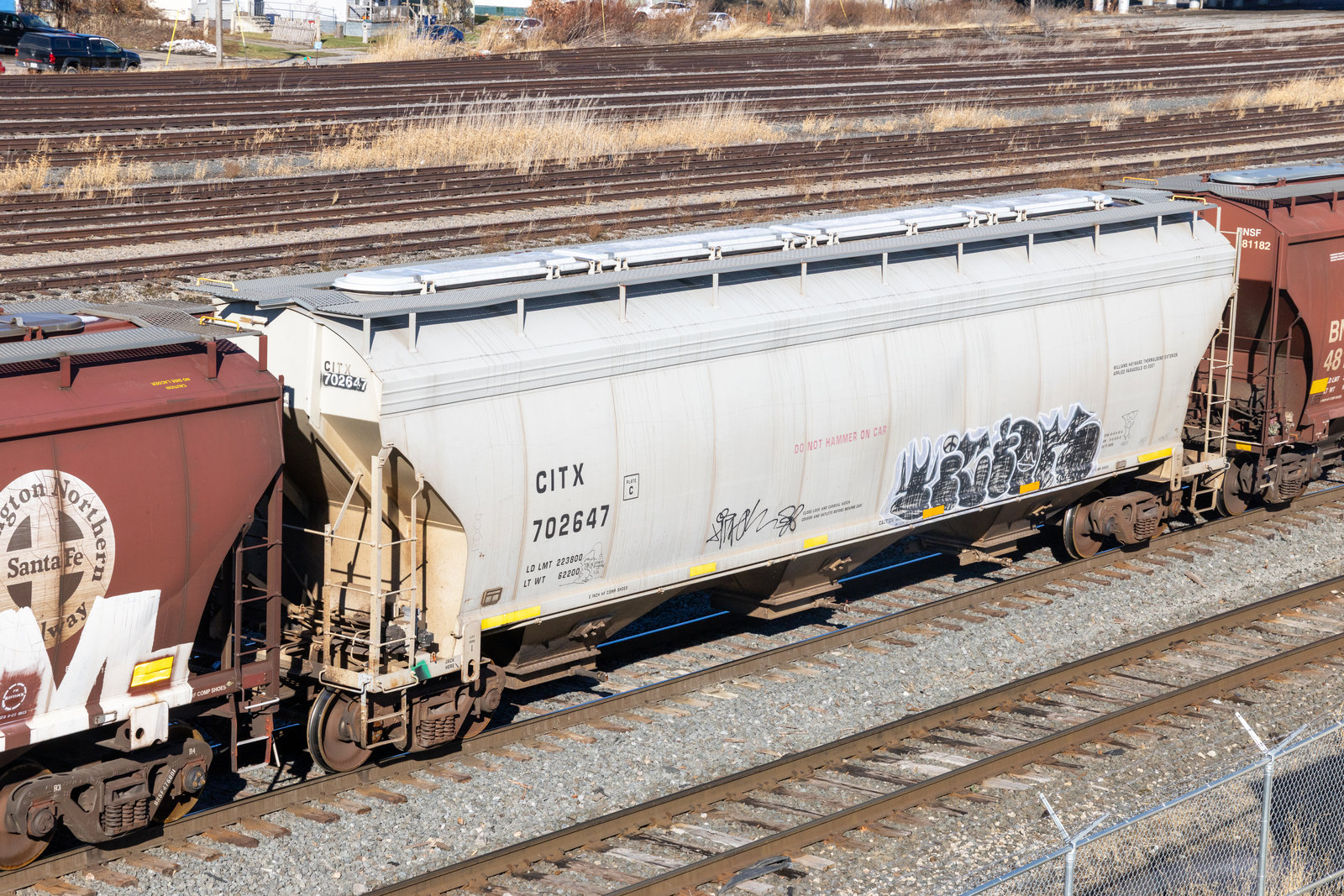 CITX 702647