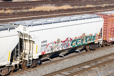 ASHX 22160