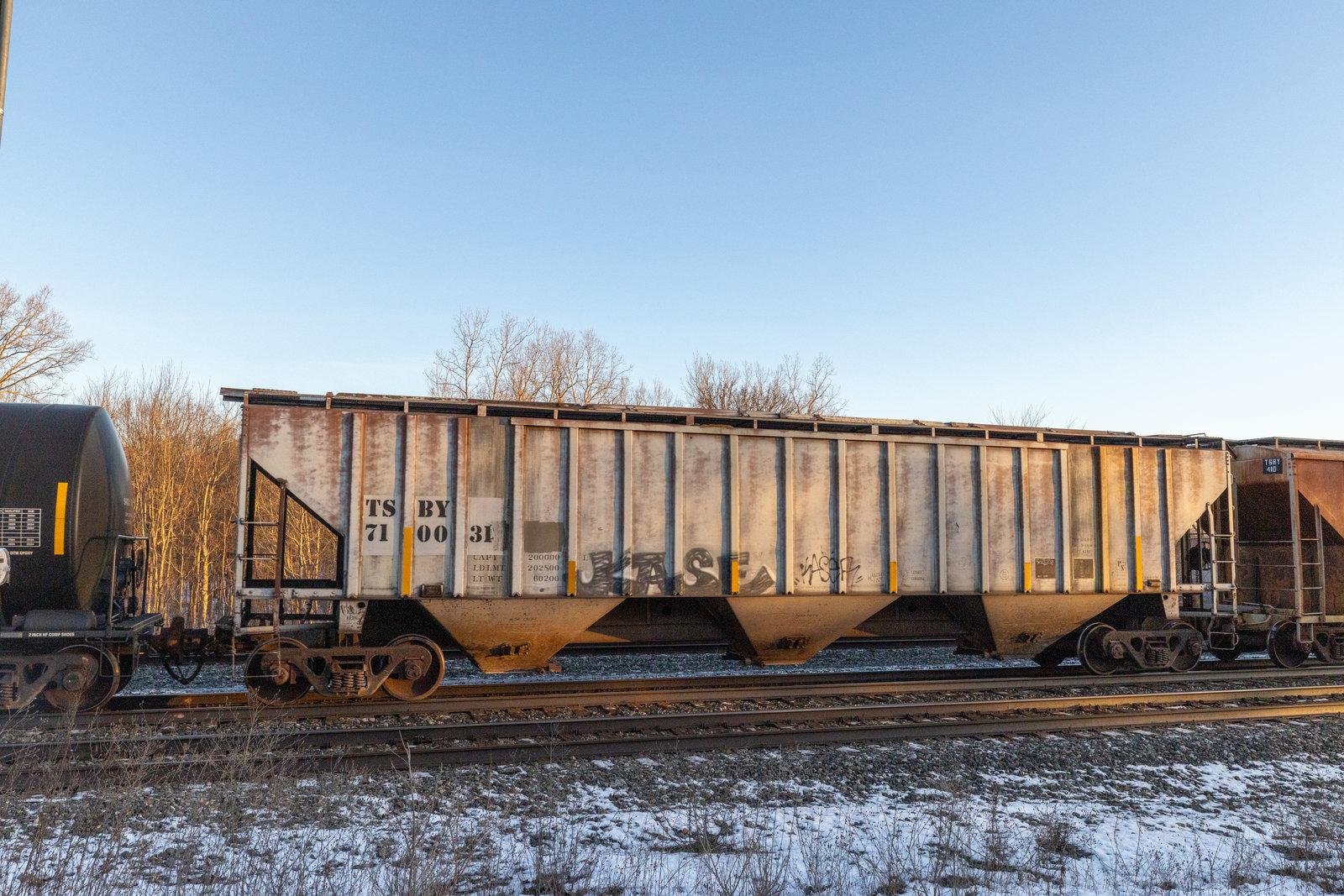 TSBY 710031