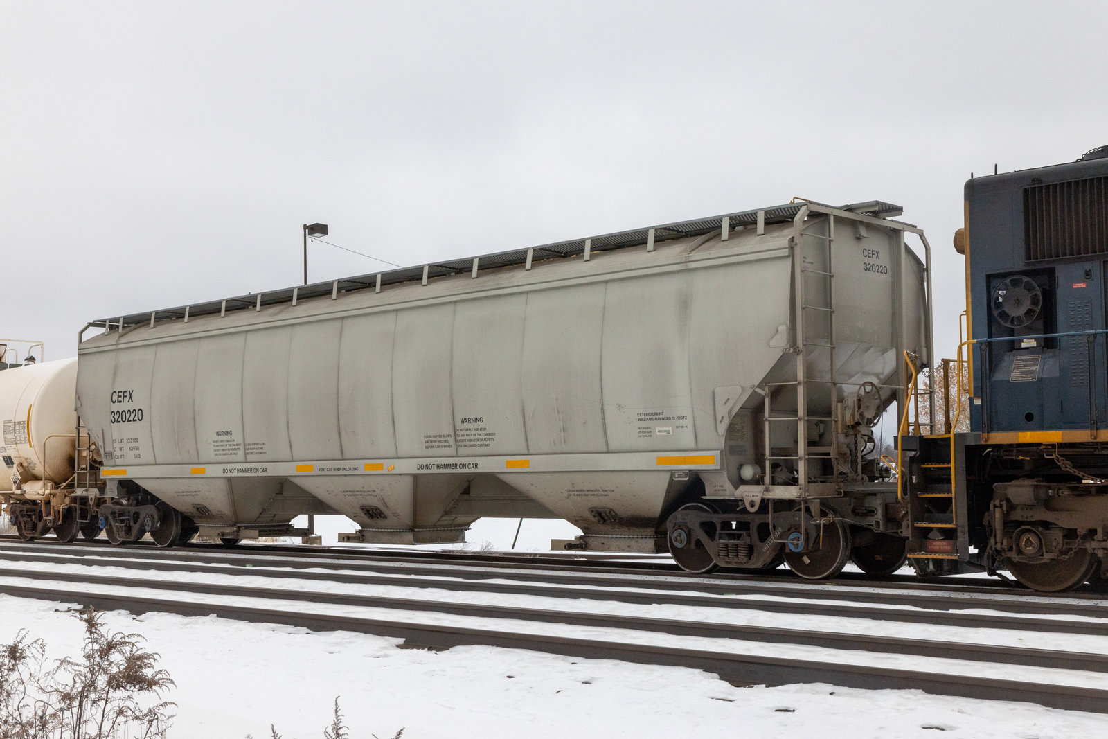 CEFX 320220