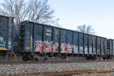CDEX 19155