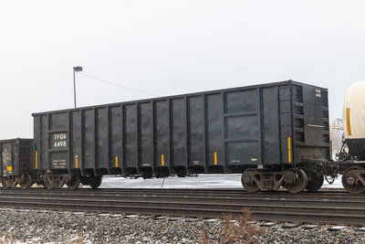 TFOX 4498