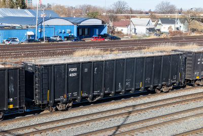 FGRX 4501