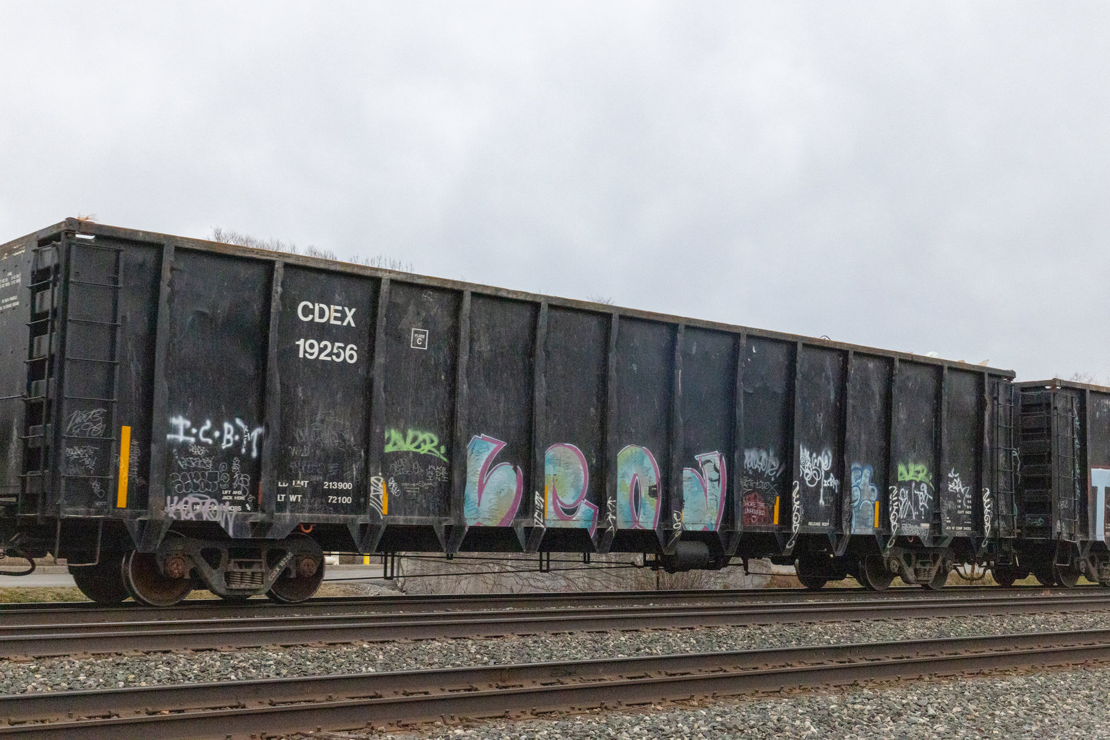 CDEX 19256
