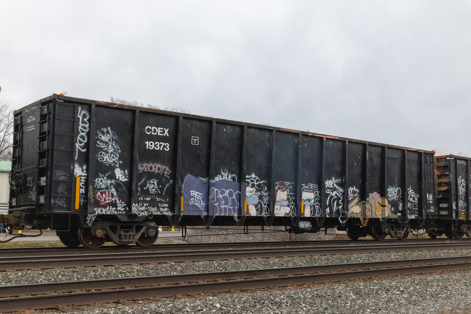 CDEX 19373