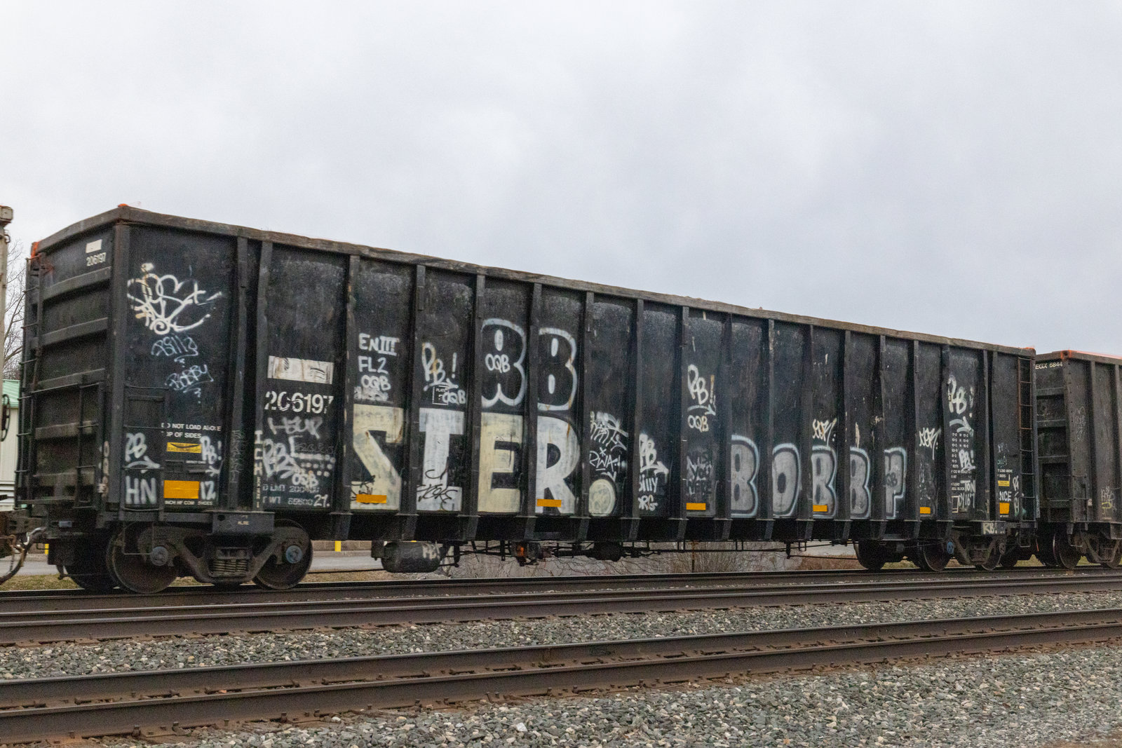 CDEX 206197