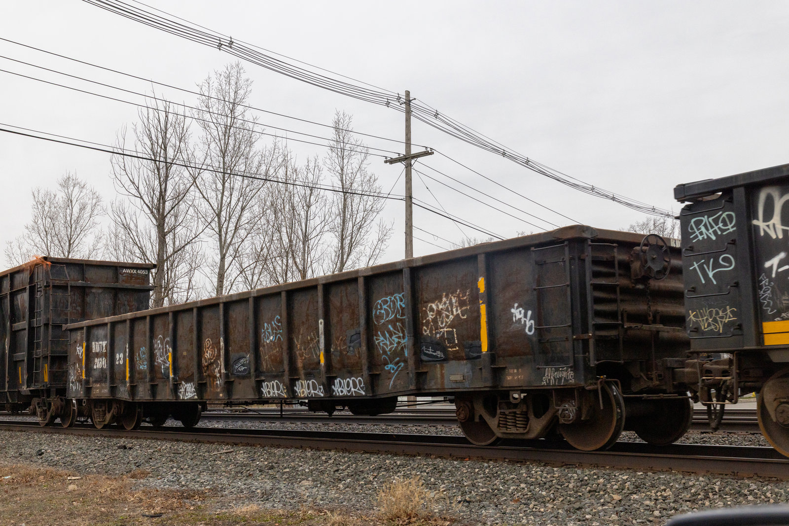 RDTX 268023