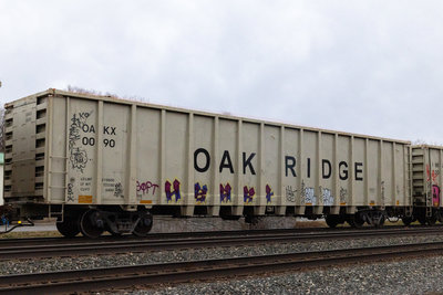 OAKX 0090