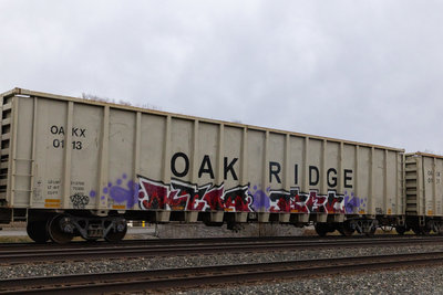 OAKX 0113
