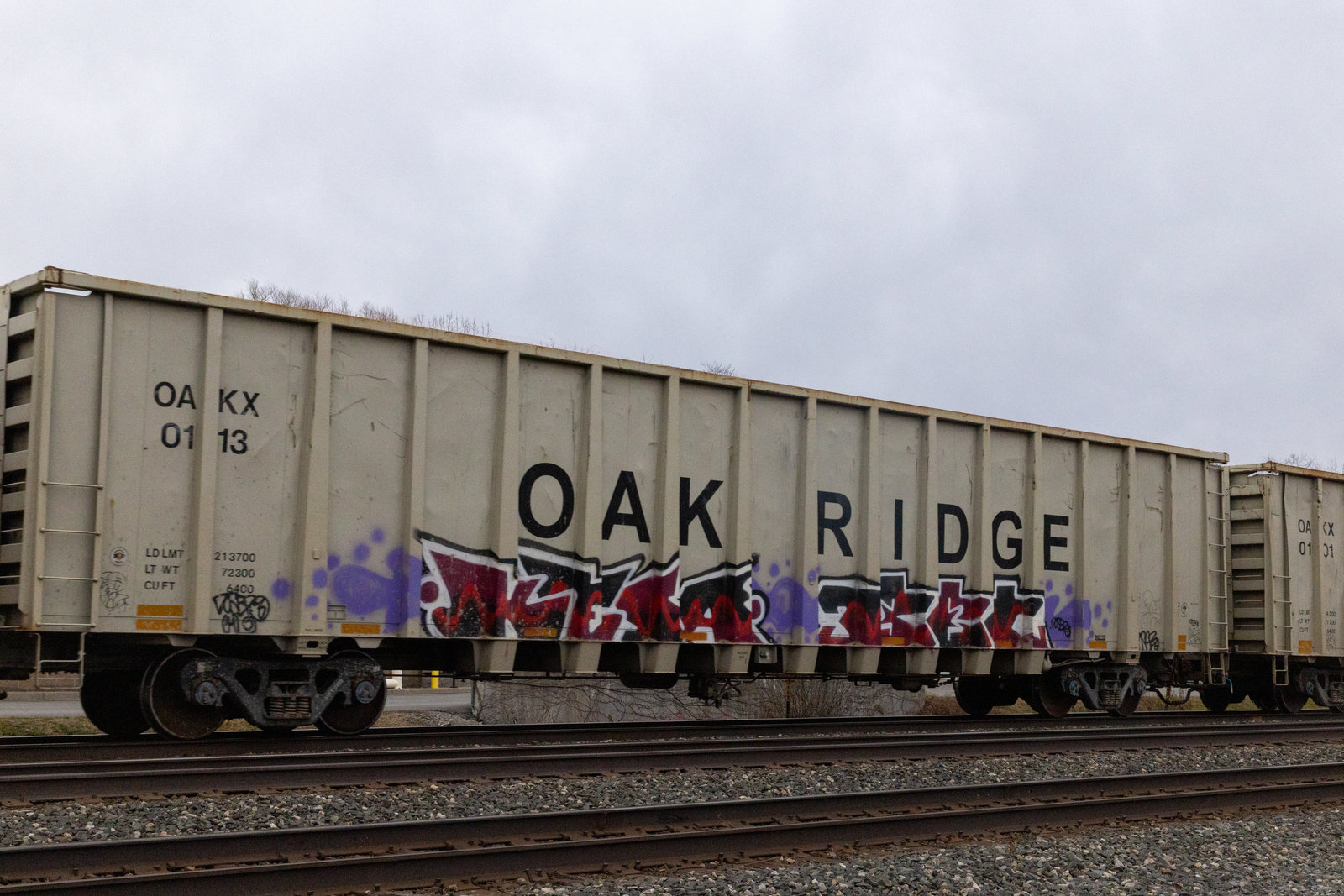 OAKX 0113