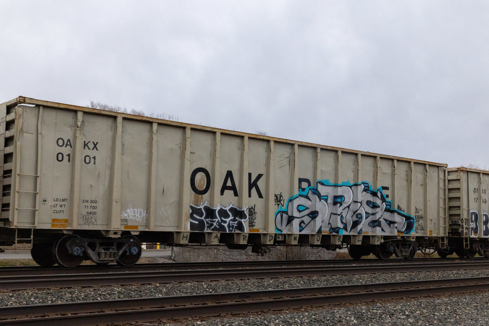 OAKX 0101