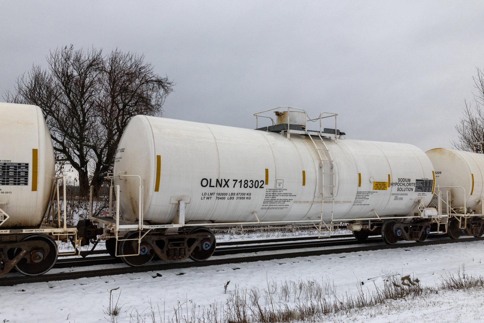 OLNX 718302