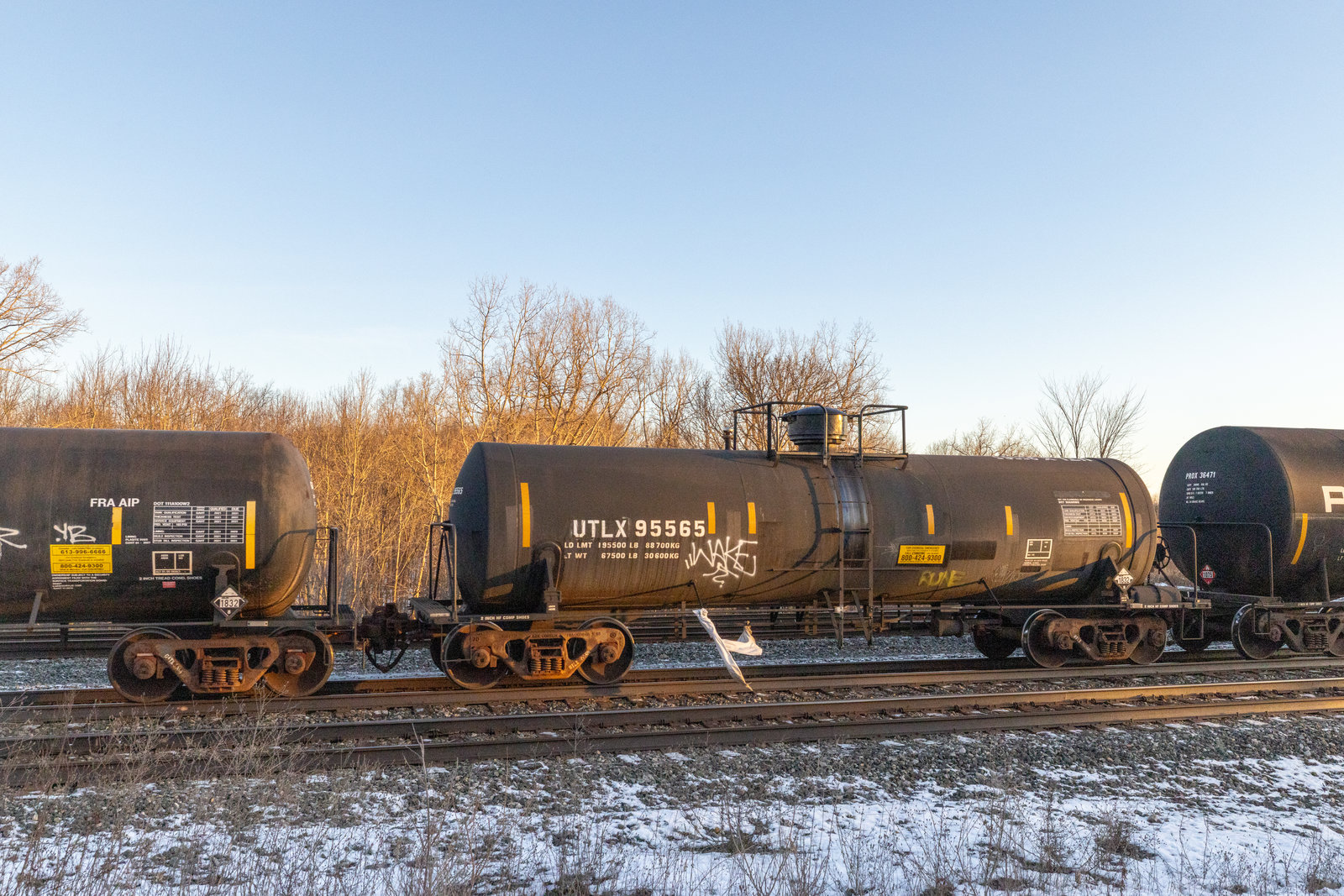 UTLX 95565